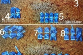 蓝色警戒完美珍藏版，以下是关于蓝色警戒完美珍藏版的详细介绍